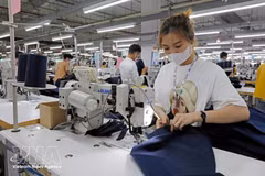 Trabajadores confeccionan prendas destinadas a la exportación al mercado de Estados Unidos en la empresa de confección TAL Vinh Phuc. (Foto: VNA)