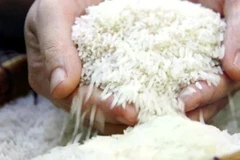 Foto de ilustración. (Fuente: VTV)