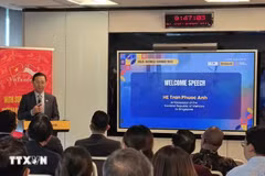 El embajador de Vietnam en Singapur, Tran Phuoc Anh, habla en el evento (Foto: VNA)