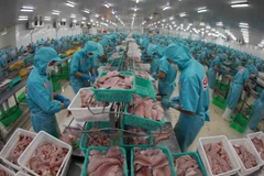 Procesamiento de pescado Tra para la exportación (Foto: VNA)