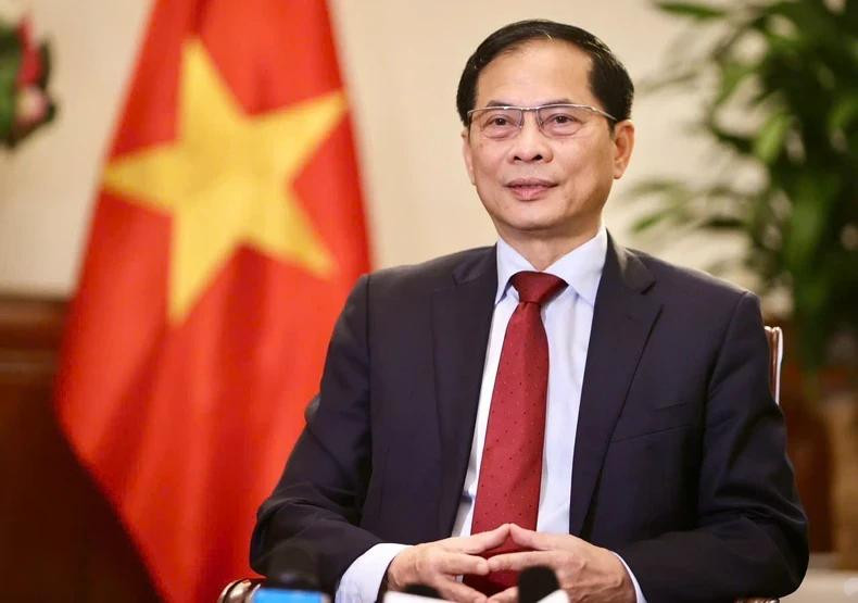 El viceprimer ministro y canciller Bui Thanh Son. (Foto: VNA)