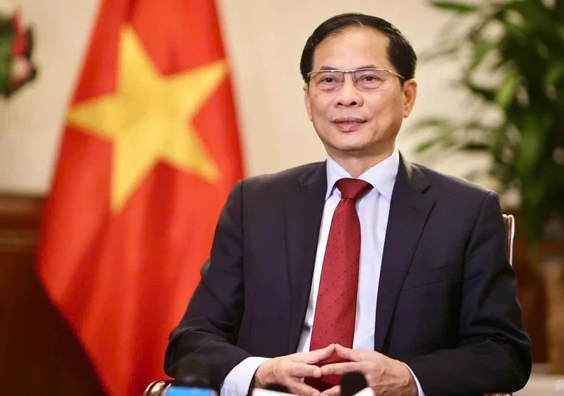 El viceprimer ministro y canciller Bui Thanh Son. (Foto: VNA)