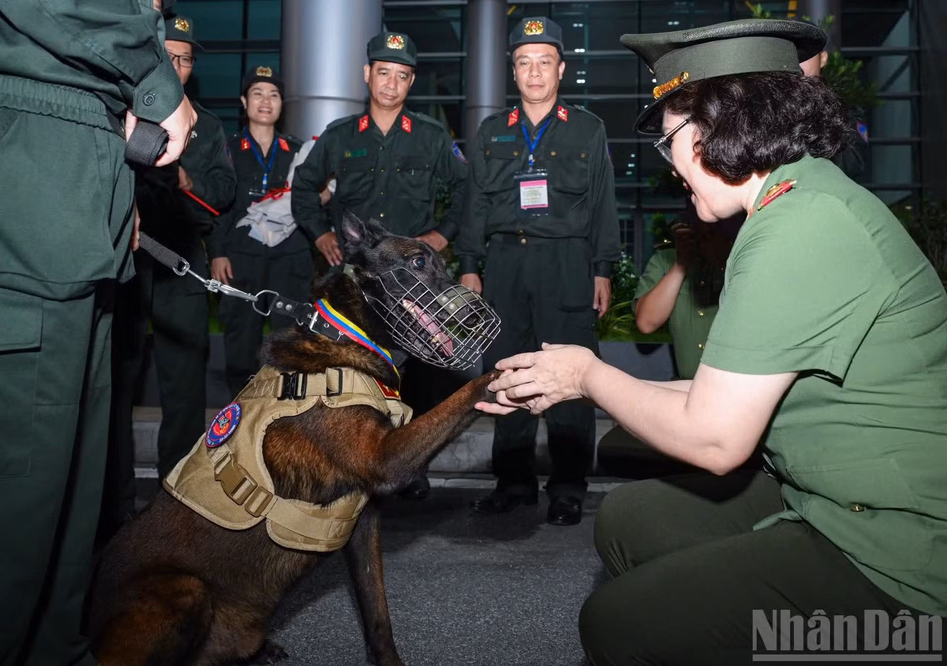 Los perros de servicio contribuyen activamente a esta difícil misión.