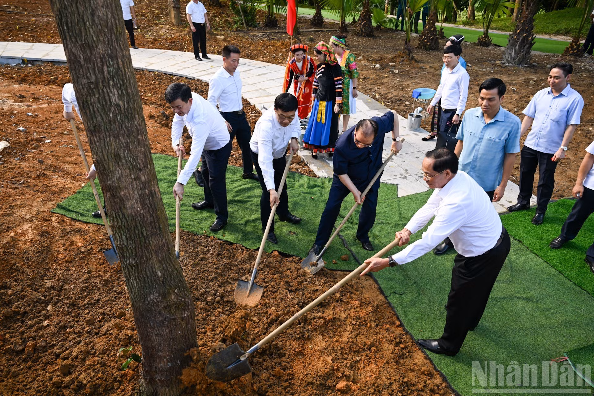 Los delegados plantan árboles en el sitio.