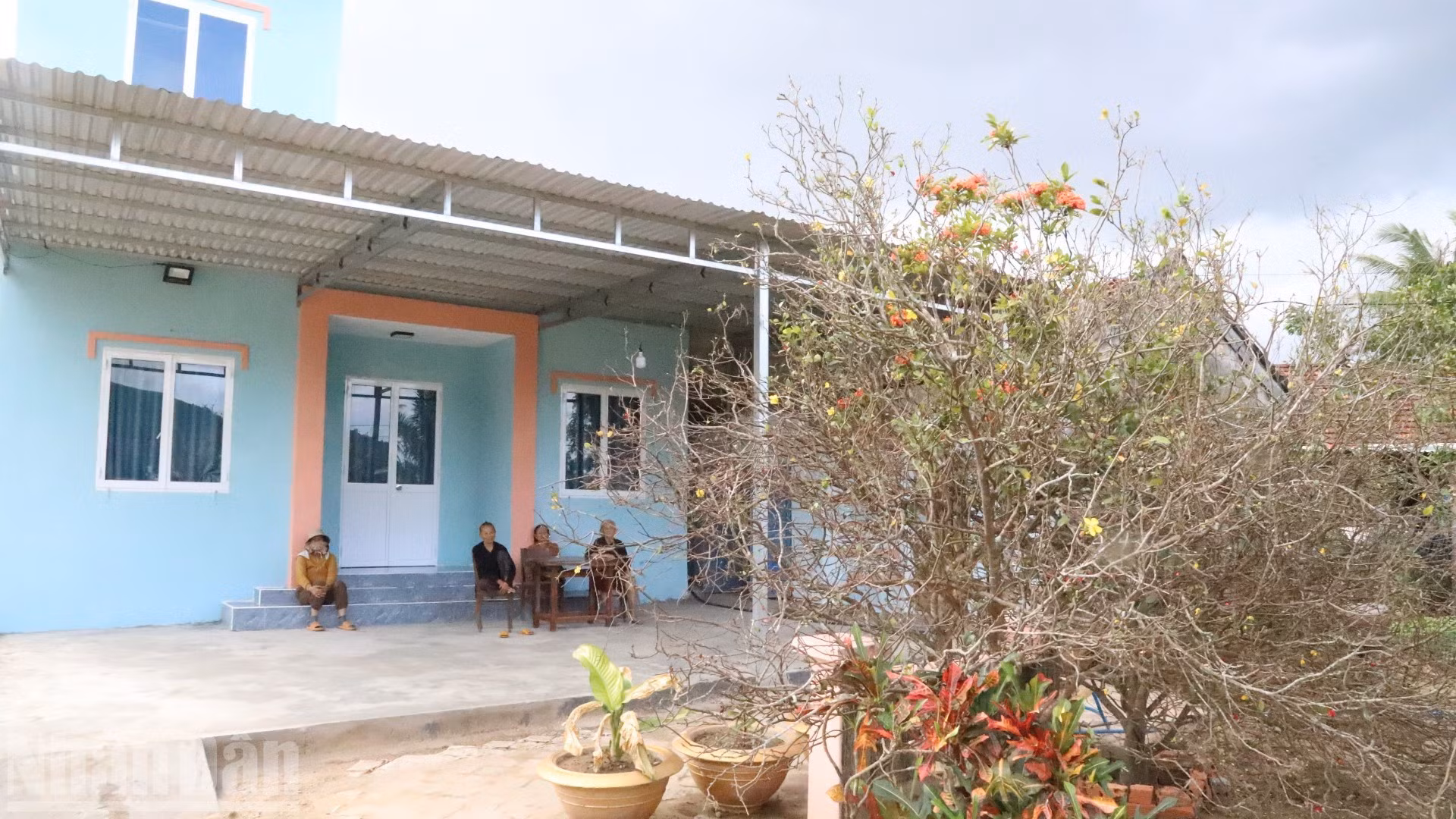 A pesar de haber superado una temporada de tormentas e inundaciones históricas, en la comuna de Son Hoa las flores vuelven a brotar, anunciando la llegada de una nueva primavera.