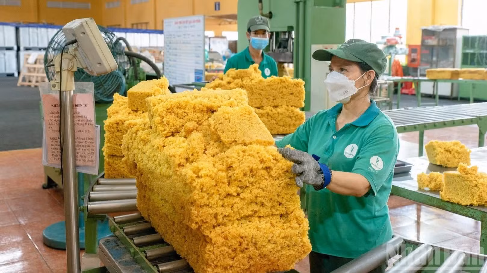 Hoy en día Dong Nai es la provincia con mayor superficie de cultivo de caucho en Vietnam con más de 242 mil hectáreas (el 26 por ciento del total nacional). También es uno de los principales centros de procesamiento de caucho para el mercado interno y la exportación. Es la principal base de producción del Grupo Industrial del Caucho de Vietnam, con alrededor de un tercio de la producción del sector, lo que la convierte no solo en una zona clave, sino también en la de mayor productividad a nivel mundial.