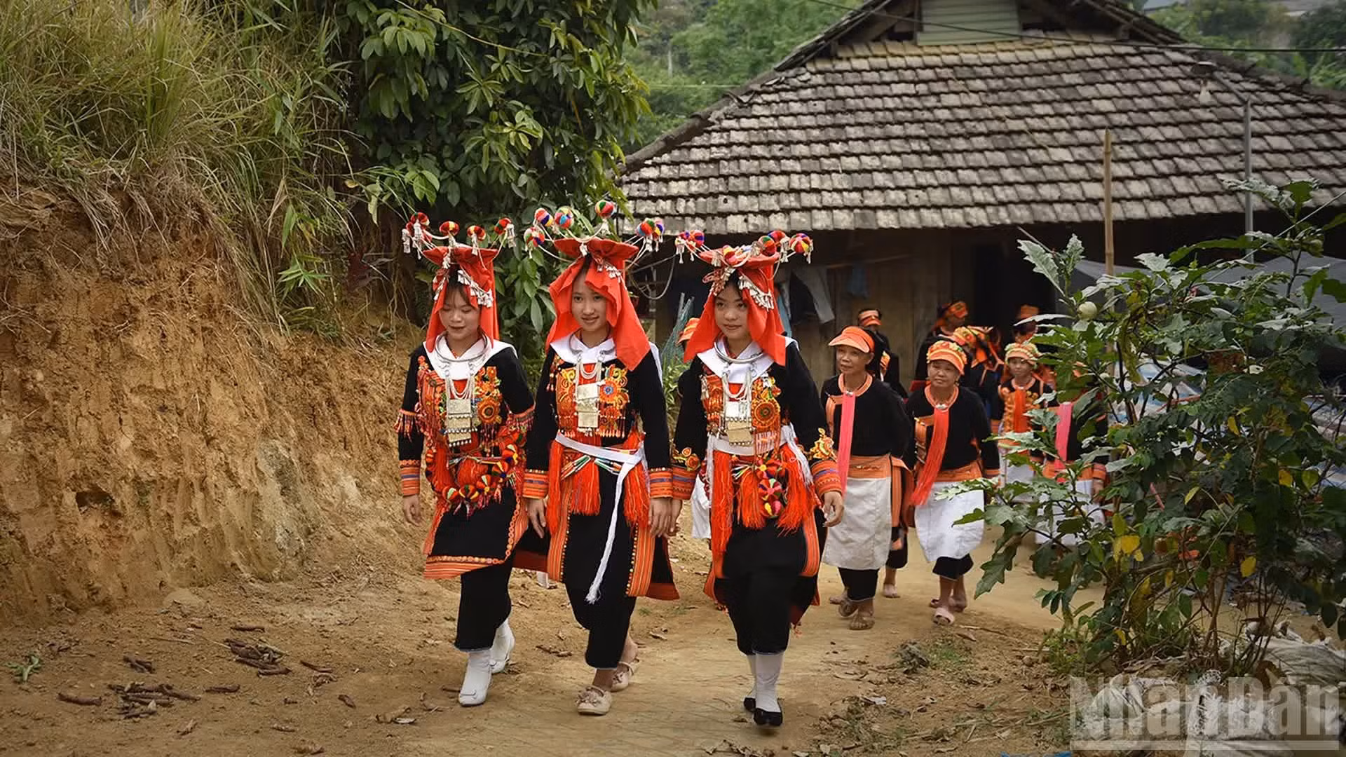 El traje nupcial de las mujeres dao tuyen. (Foto: Vu Linh)