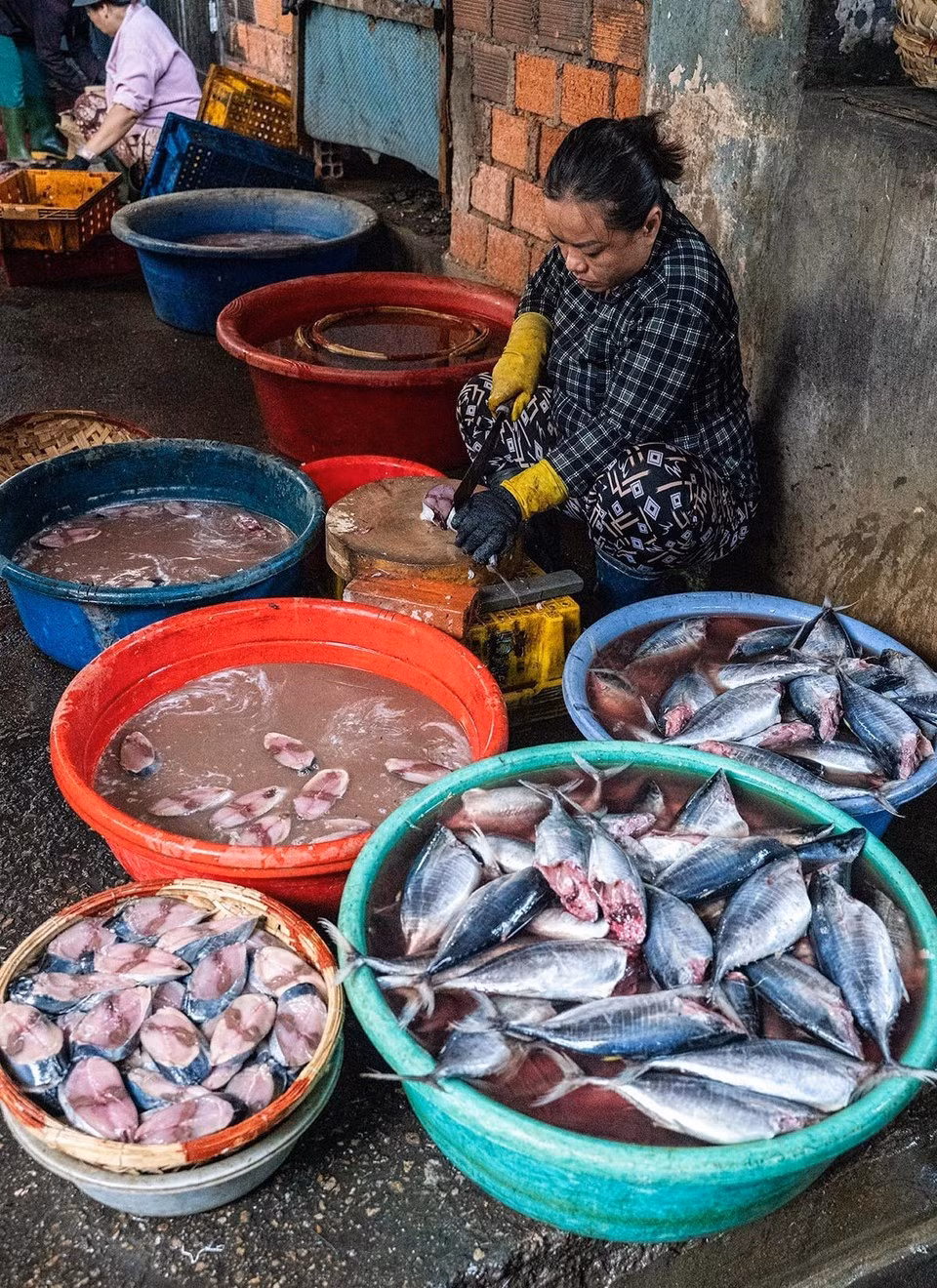 Limpieza del pescado antes de entrar al horno de vapor.