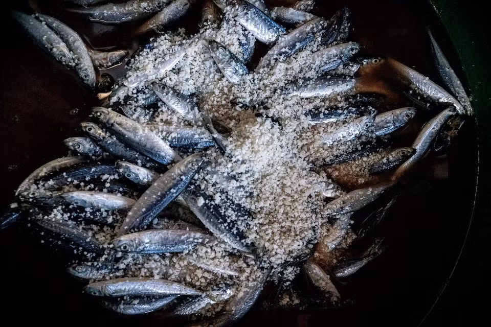 El pescado se sala ligeramente antes de cocerse.