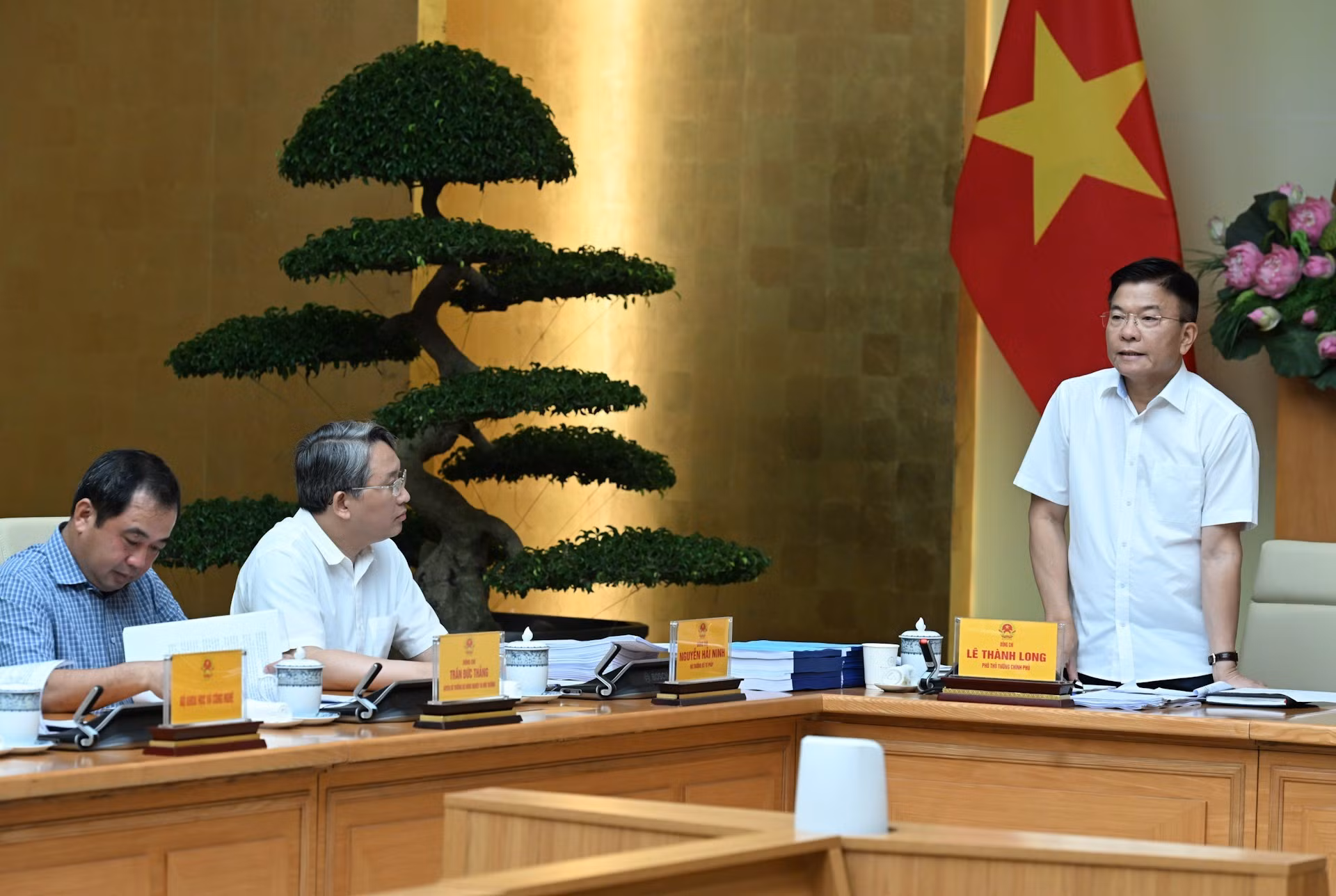 El viceprimer ministro Le Thanh Long habla en la reunión.
