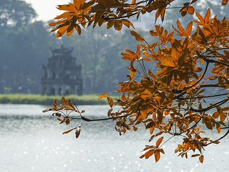 En el lago Hoan Kiem (Fotografía: VNA)