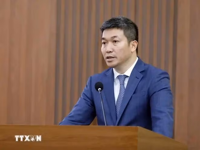 El presidente de la Unión de Organizaciones de Amistad de Vietnam, Phan Anh Son. (Foto: VNA)