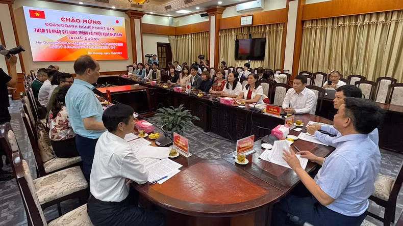 Líderes del Comité Popular provincial de Hai Duong se reúnen con representantes de empresas japonesas.