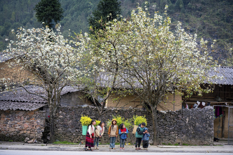 La belleza de la gente y el hermoso paisaje son lo que atrae a los turistas a Ha Giang. (Foto: VNA)