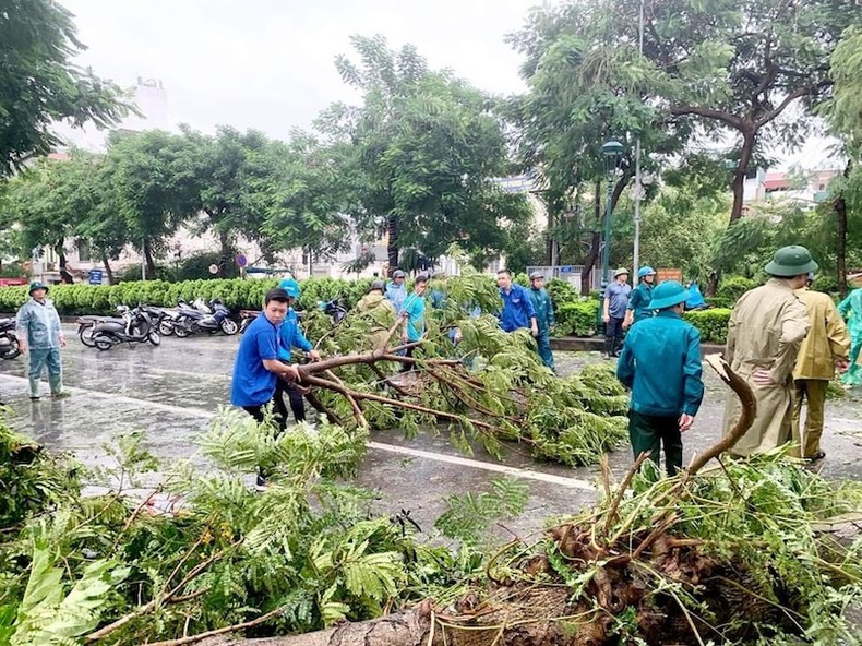 Jóvenes voluntarios se unen a las autoridades para limpiar los árboles caídos en las calles de Hanói. (Foto: Nhan Dan)