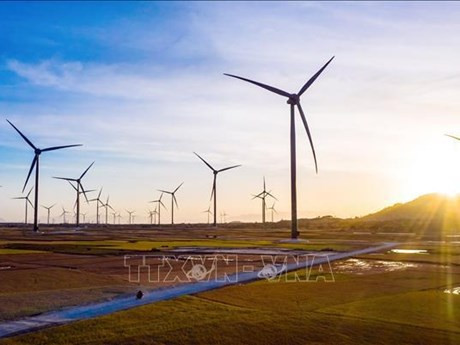 El complejo de energía renovable del grupo Trung Nam en el distrito de Thuan Bac, provincia de Ninh Thuan. (Fotografía: VNA)
