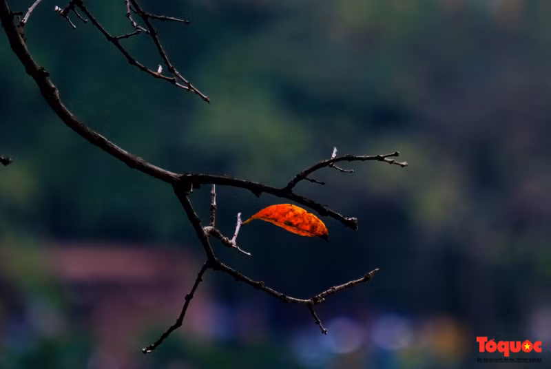Muchos jóvenes aprovechan la oportunidad para tomar fotografías.