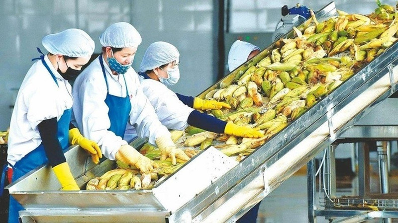 (Foto: vnbusiness.vn)