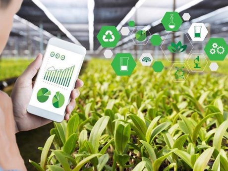 Foto de ilustración (Fotografía: vneconomy.vn)
