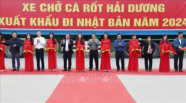El primer ministro vietnamita, Pham Minh Chinh, asiste al acto de exportación de zanahorias a Japón (Foto:VNA)