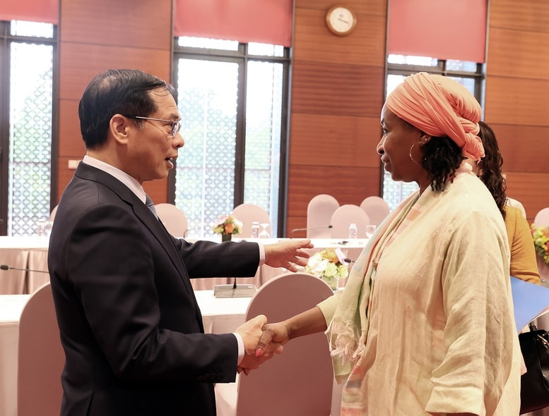 El viceprimer ministro y canciller de Vietnam, Bui Thanh Son, recibe a la subdirectora general de la Organización de las Naciones Unidas para el Desarrollo Industrial (ONUDI), Fatou Haidara. (Foto: VNA)
