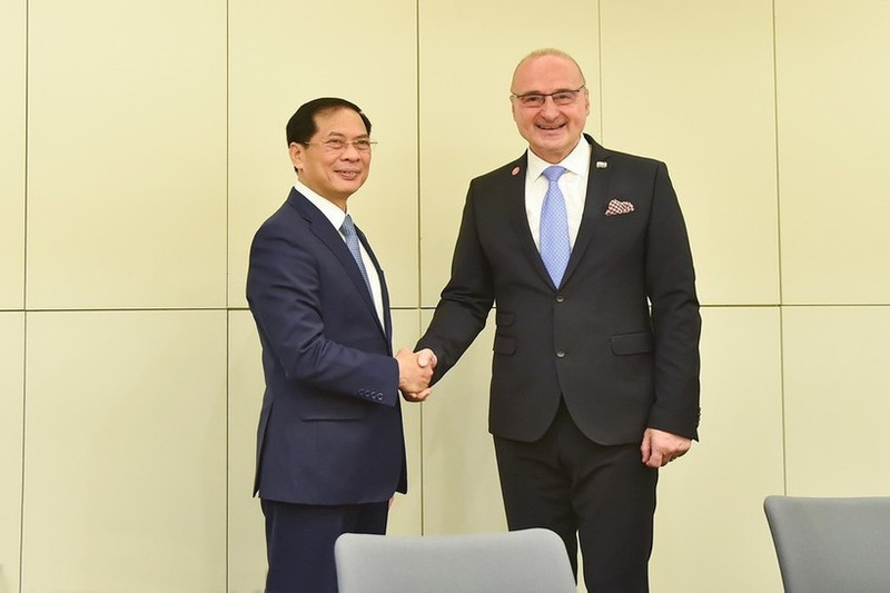 El ministro de Relaciones Exteriores de Vietnam, Bui Thanh Son (izquierda), y el ministro de Relaciones Exteriores y Europeos de Croacia, Gordan Grlić-Radman. (Foto: VNA)
