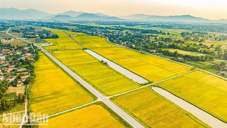 El perfil de las zonas rurales se llena de una nueva vitalidad.