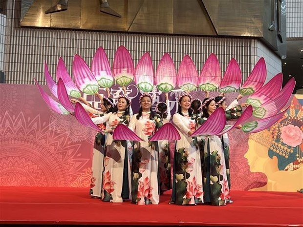 El espectáculo de los vietnamitas (Foto: VNA)