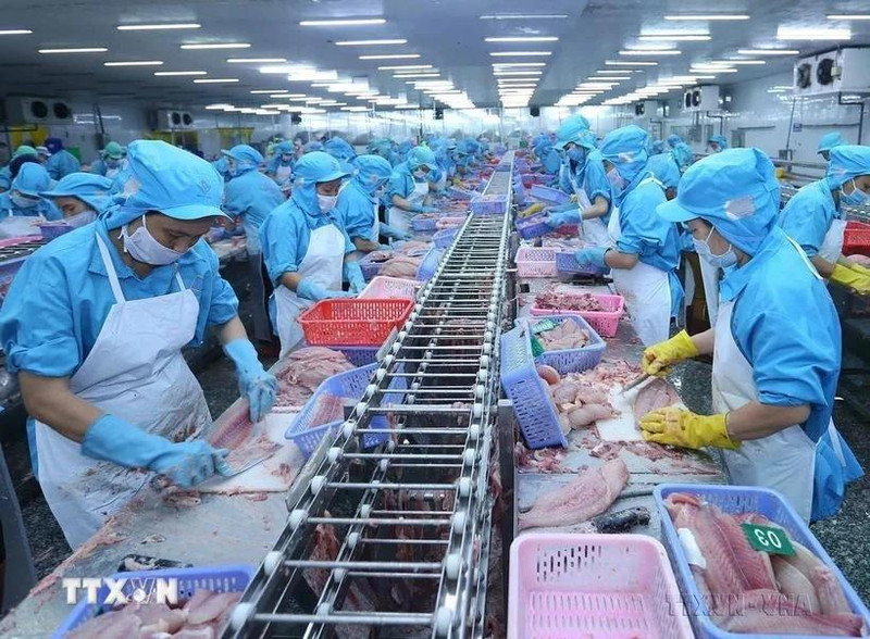 Procesamiento de productos acuáticos para la exportación (Foto: VNA)