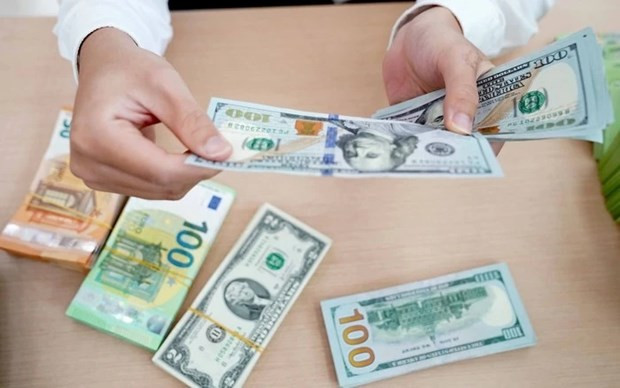 Foto de ilustración. (Foto: baodautu.vn)