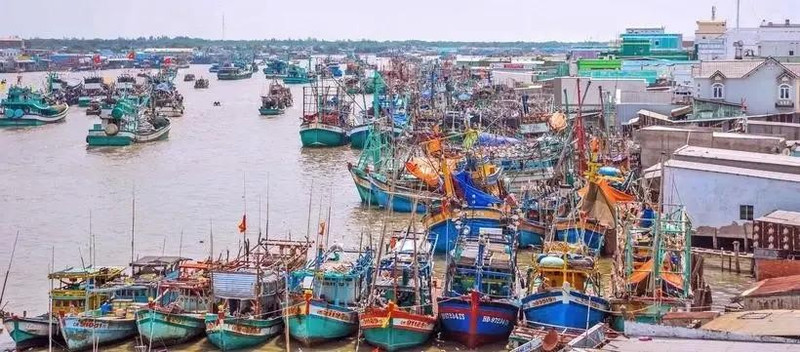 Los barcos pesqueros en la provincia de Ca Mau (Foto: VNA)