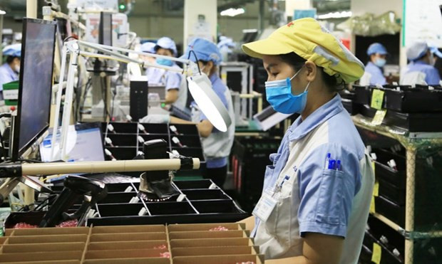 Foto de ilustración (Foto: baodautu.vn)