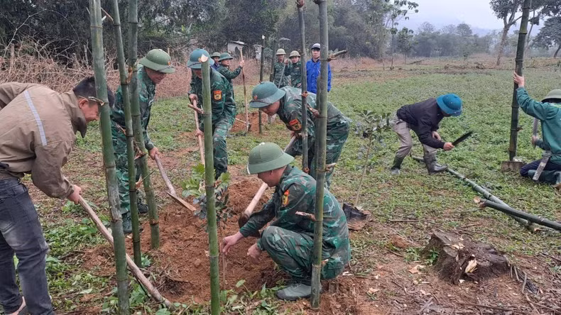 La instancia de la Unión de Jóvenes Comunista Ho Chi Minh en la Estación de Guardia Fronteriza de Mon Son y otras fuerzas estacionadas en el área lanzan el movimiento de siembra de árboles en el área del estadio de la comuna de Mon Son, distrito de Con Cuong.