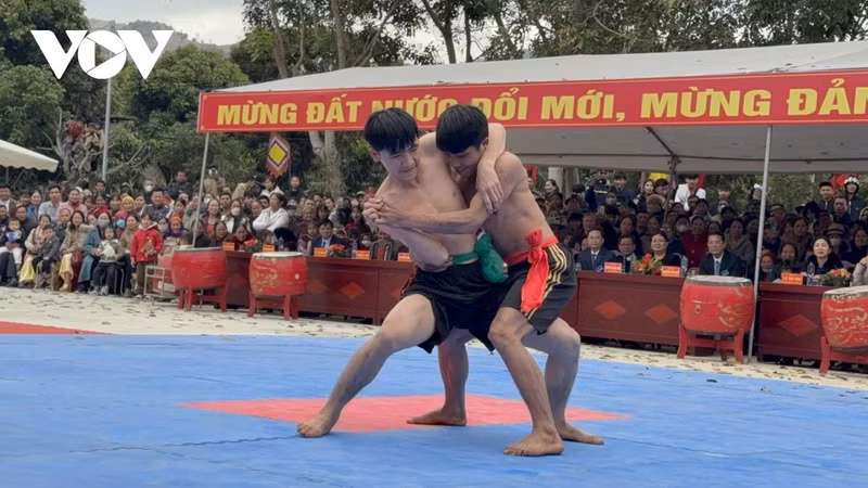 Los jóvenes luchadores en la competición.