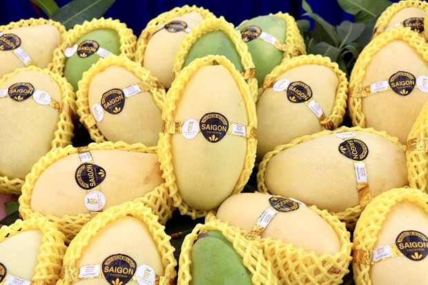 El mango de An Giang (Foto: VNA)
