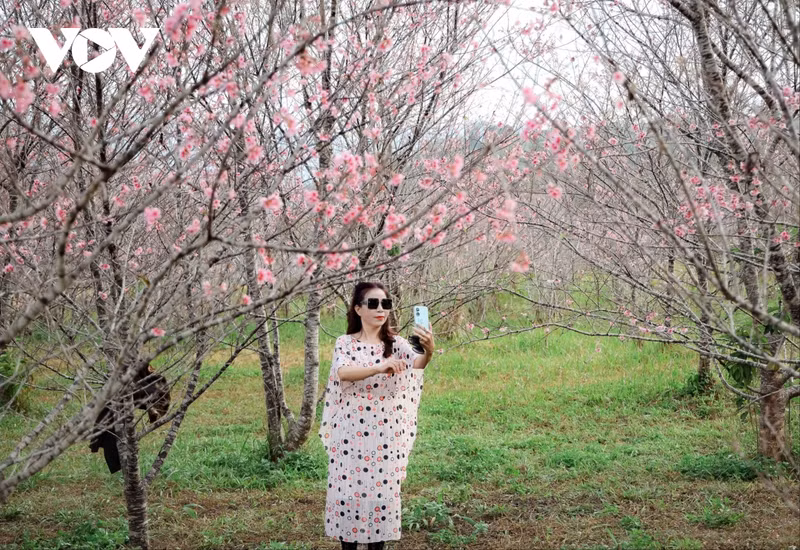 La edición de este año celebra el 50 aniversario del establecimiento de relaciones diplomáticas entre Vietnam y Japón.