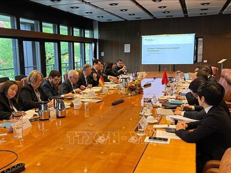 Panorama de la reunión (Foto: VNA)