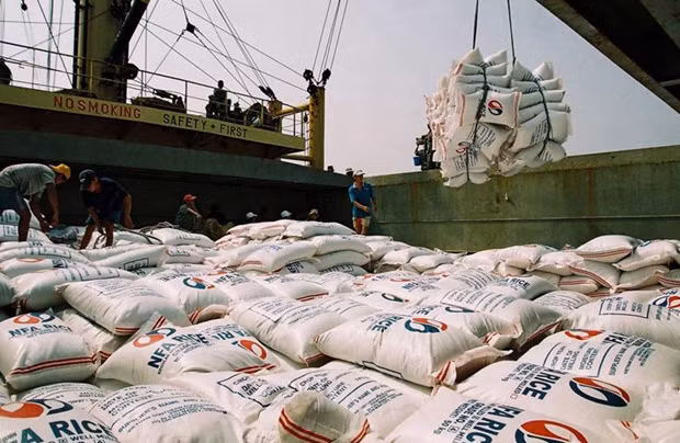En la primera mitad del año, Vietnam exportó 4,27 millones de toneladas de arroz por un valor de 2,3 mil millones de dólares (Foto: laodong.vn)