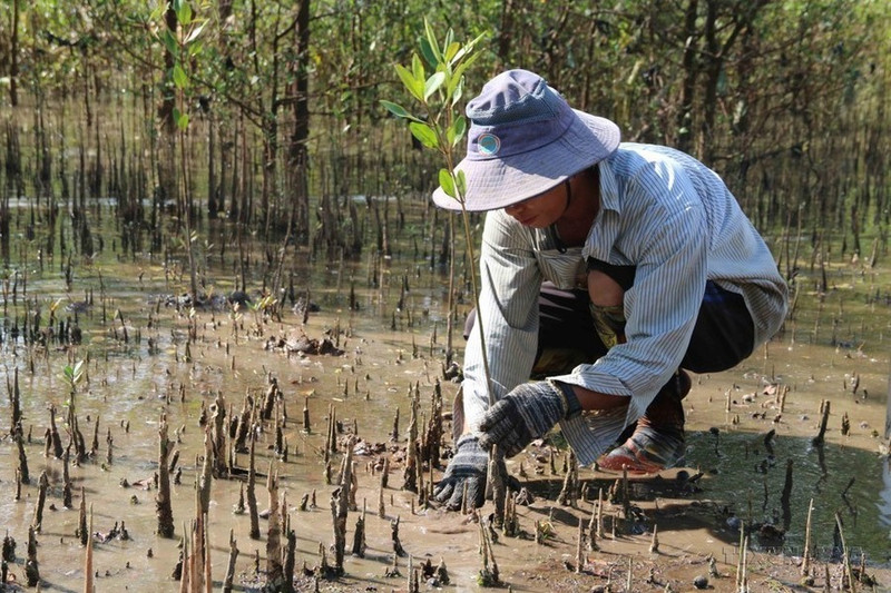 Vietnam adopta medidas para la protección del medio ambiente
