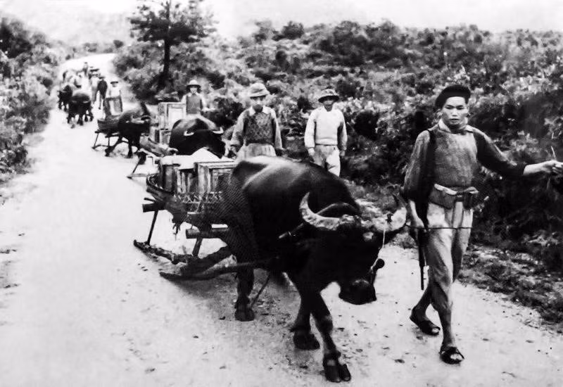 La gran contribución de la fuerza civil, asegurando la logística de la campaña, fue una de las principales razones de la victoria de Dien Bien Phu.