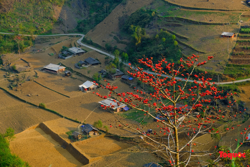(Fotografía: toquoc.vn)