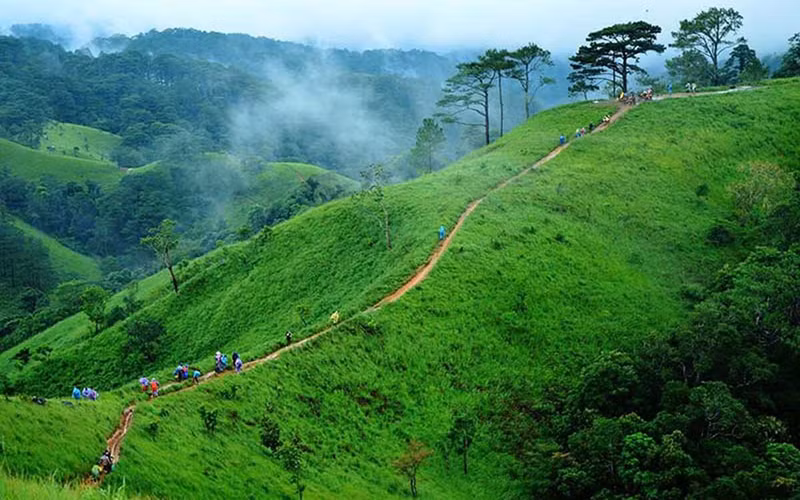 La ruta serpentea a lo largo de colinas y montañas con una altitud de 500 a mil cien metros sobre el nivel del mar.