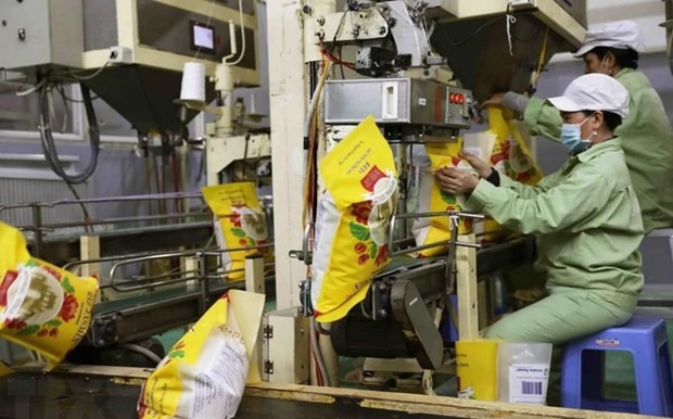 En 2023, Vietnam exportó más de 8,1 millones de toneladas por un valor de 4,6 mil millones de dólares. (Foto: VNA)