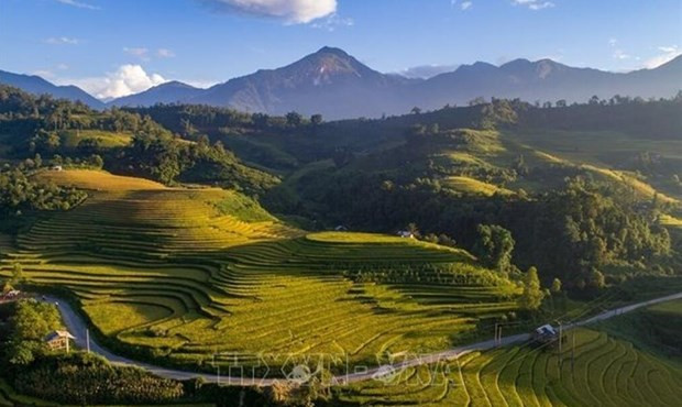 Terrazas de arroz en Sapa (Foto: VNA)