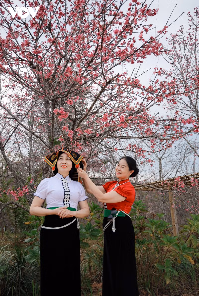 El evento se llevará a cabo del 12 al 14 de enero con numerosas actividades atractivas.