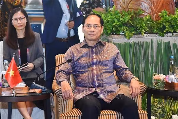 El Ministro vietnamita de Relaciones Exteriores, Bui Thanh Son, en la 56 Reunión de Ministros de Relaciones Exteriores de la Asean. (Foto: VNA)