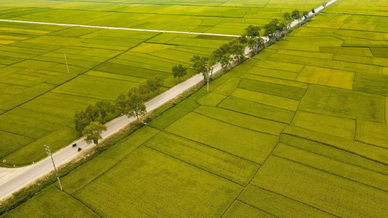 La autopista 279 discurre por el campo Muong Thanh.