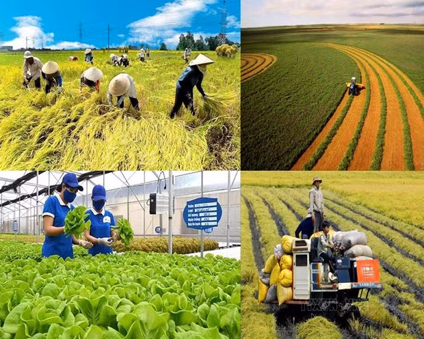 Foto de ilustración (Foto: VNA)