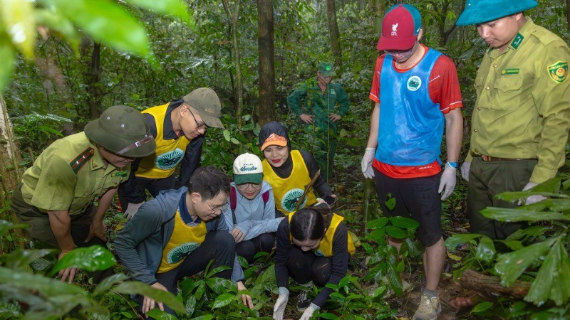 Gestionar y utilizar de forma sostenible los recursos naturales, proteger el medio ambiente y la biodiversidad para fomentar un turismo duradero son objetivos clave de la Estrategia de Desarrollo Turístico de Vietnam hasta 2030. (Foto: Nhan Dan)