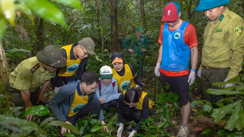 Gestionar y utilizar de forma sostenible los recursos naturales, proteger el medio ambiente y la biodiversidad para fomentar un turismo duradero son objetivos clave de la Estrategia de Desarrollo Turístico de Vietnam hasta 2030. (Foto: Nhan Dan)